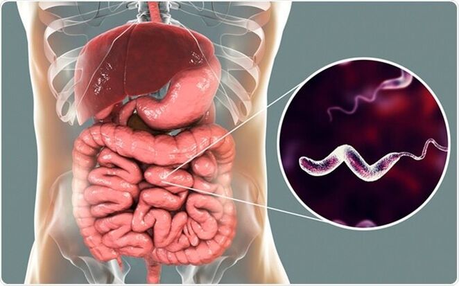 Os parasitos liberan toxinas no corpo e a droga Vermixin axudarache a desfacerte delas. 